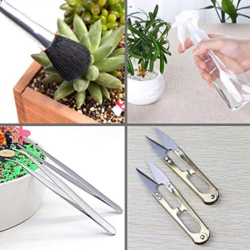 SONGZIMING 15 Pcs Succulent Plant Tools Set, Mini Garden Planting ...