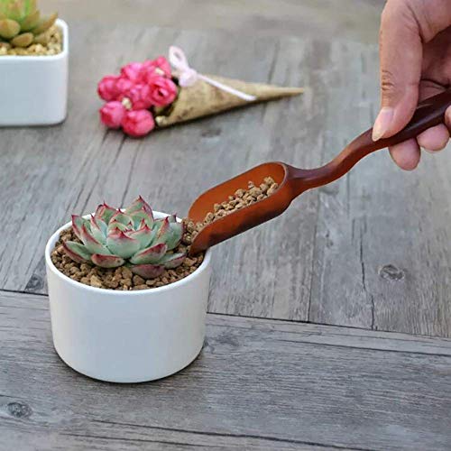 SONGZIMING 15 Pcs Succulent Plant Tools Set, Mini Garden Planting ...