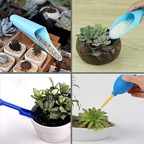 SONGZIMING 15 Pcs Succulent Plant Tools Set, Mini Garden Planting ...