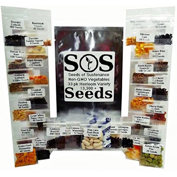 13,300+ Vegetable Seeds NON-GMO 33 Pack Variety