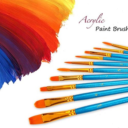 Acrylic Paint Brushes Set, 2 Pack / 20 PCS Round Pointed Tip Artis...