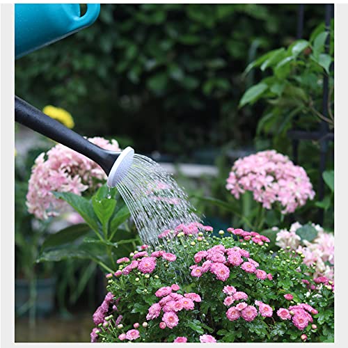 SOUJOY Plastic Watering Can, 1.32 Gallon Plant Watering Pot with L...