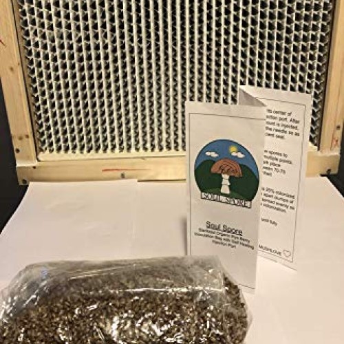 3 lb rye Grain Bag, 100% Organic rye Berries, Steralized Mushroom ...