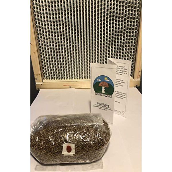 3 lb rye Grain Bag, 100% Organic rye Berries, Steralized Mushroom ...