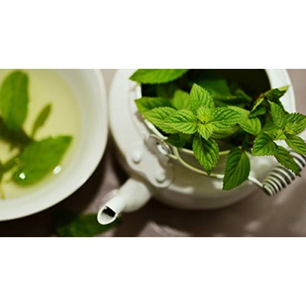 Herbal Tea Garden Seeds - Chamomile, Lavender, Mint, Holy Basil, E...