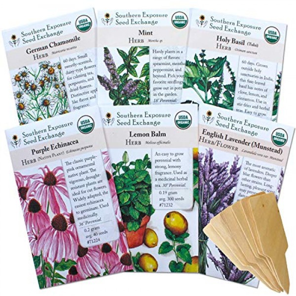 Herbal Tea Garden Seeds - Chamomile, Lavender, Mint, Holy Basil, E...