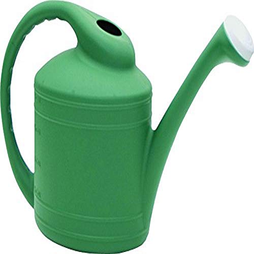 Southern Patio 2 Gallon Watering Can, Fern