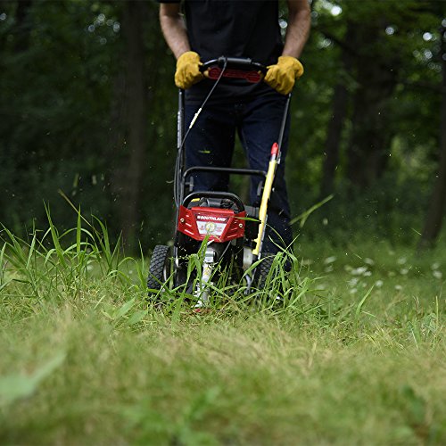 Southland Outdoor Power Equipment SWSTM4317 Southland Wheeled Stri...