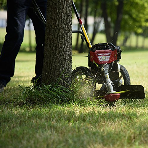 Southland Outdoor Power Equipment SWSTM4317 Southland Wheeled Stri...