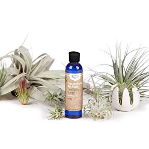 Air Plant Concentrate 4 oz Concentrate