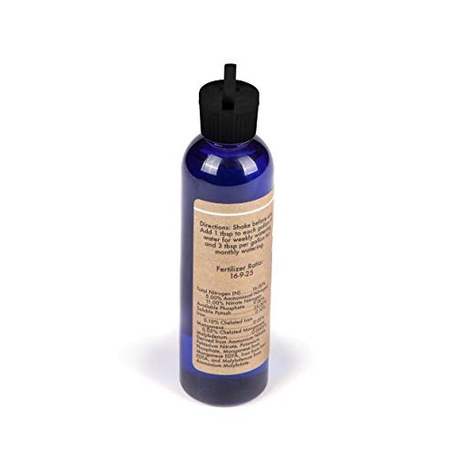 Air Plant Concentrate 4 oz Concentrate