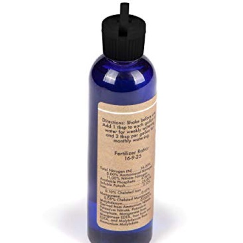 Air Plant Concentrate 4 oz Concentrate