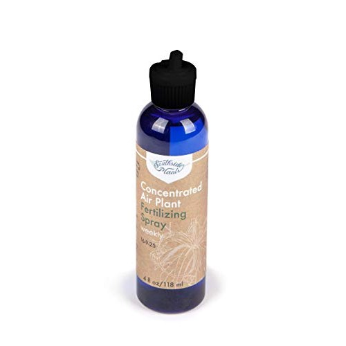 Air Plant Concentrate 4 oz Concentrate
