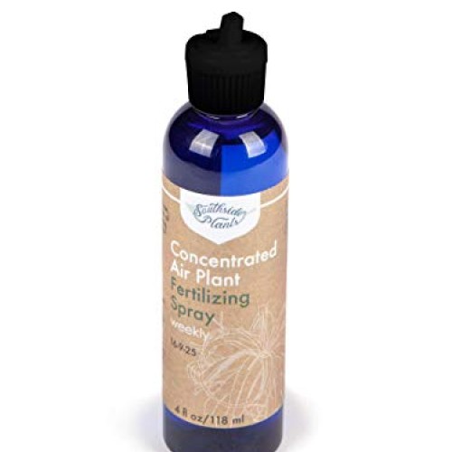 Air Plant Concentrate 4 oz Concentrate