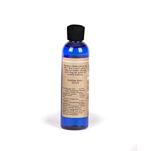 Air Plant Concentrate 4 oz Concentrate