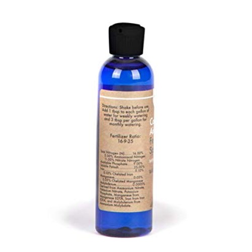 Air Plant Concentrate 4 oz Concentrate