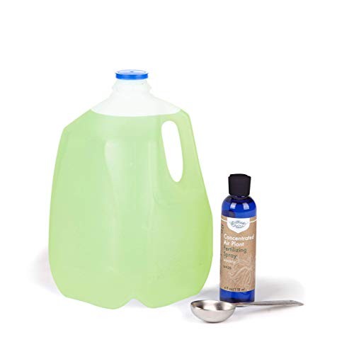 Air Plant Concentrate 4 oz Concentrate