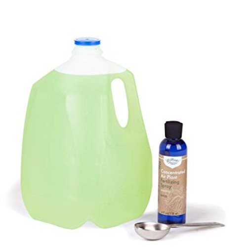 Air Plant Concentrate 4 oz Concentrate