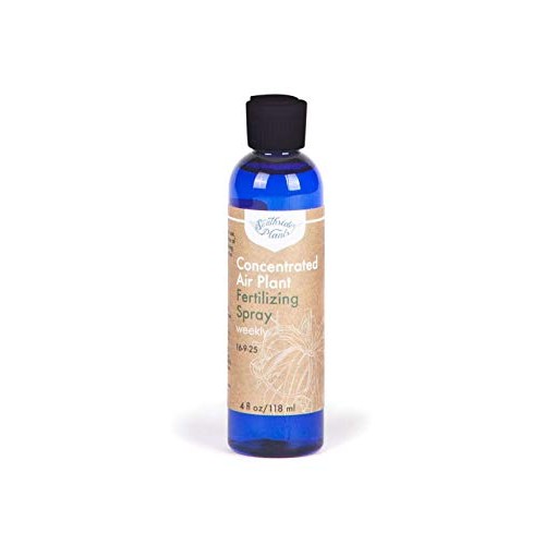 Air Plant Concentrate 4 oz Concentrate
