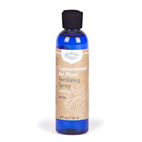 Air Plant Concentrate 4 oz Concentrate