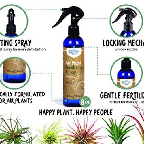 Air Plant Weekly Fertilizing Spray, 8 oz - Specially formulated Bl...