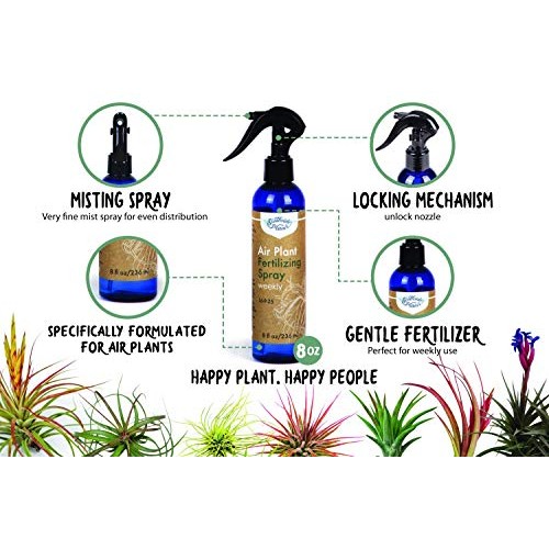 Air Plant Weekly Fertilizing Spray, 8 oz - Specially formulated Bl...