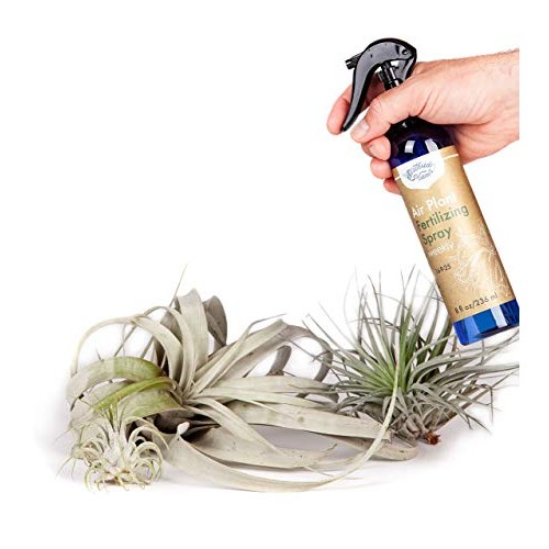 Air Plant Weekly Fertilizing Spray, 8 oz - Specially formulated Bl...