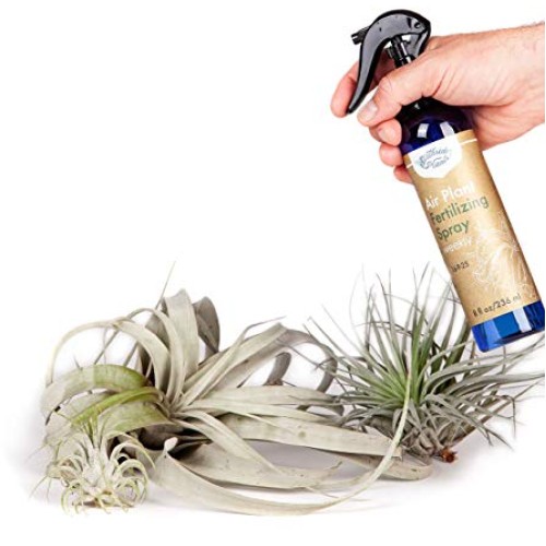 Air Plant Weekly Fertilizing Spray, 8 oz - Specially formulated Bl...