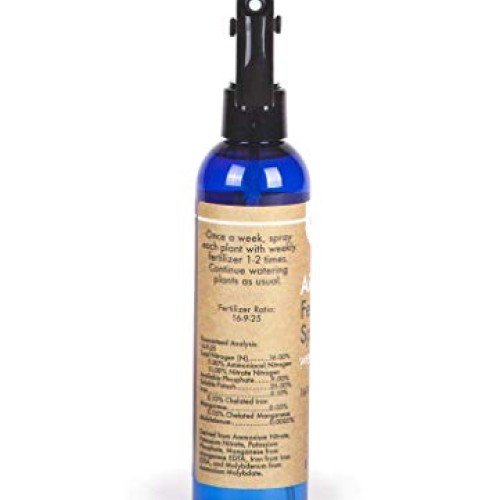 Air Plant Weekly Fertilizing Spray, 8 oz - Specially formulated Bl...