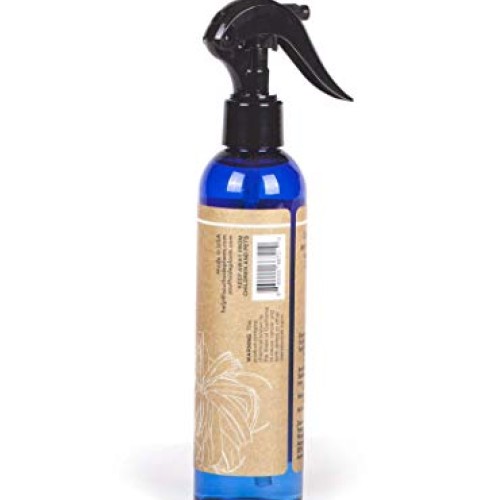 Air Plant Weekly Fertilizing Spray, 8 oz - Specially formulated Bl...