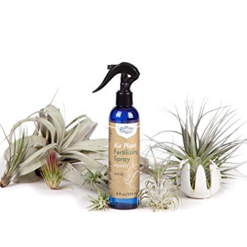 Air Plant Weekly Fertilizing Spray, 8 oz - Specially formulated Bl...