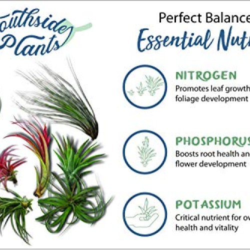 Air Plant Weekly Fertilizing Spray, 8 oz - Specially formulated Bl...