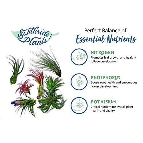 Air Plant Weekly Fertilizing Spray, 8 oz - Specially formulated Bl...