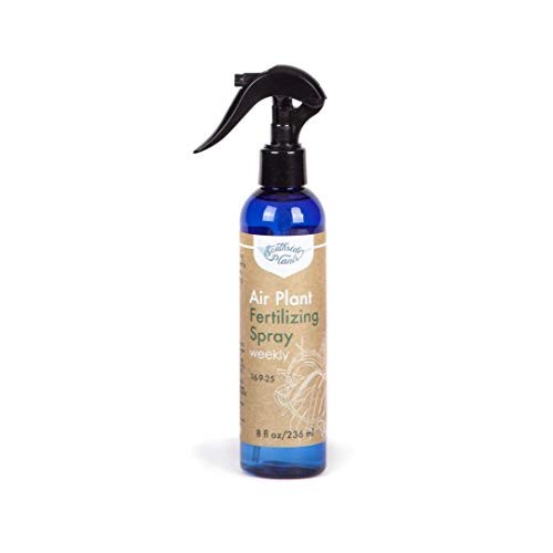 Air Plant Weekly Fertilizing Spray, 8 oz - Specially formulated Bl...