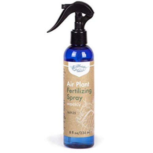 Air Plant Weekly Fertilizing Spray, 8 oz - Specially formulated Bl...