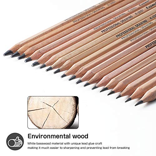 Sketching Pencil Set, Drawing Pencils and Sketch Kit,30-Piece Comp...