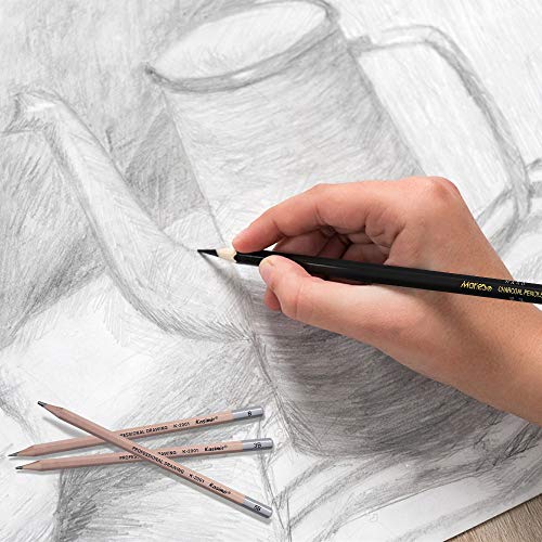 Sketching Pencil Set, Drawing Pencils and Sketch Kit,30-Piece Comp...