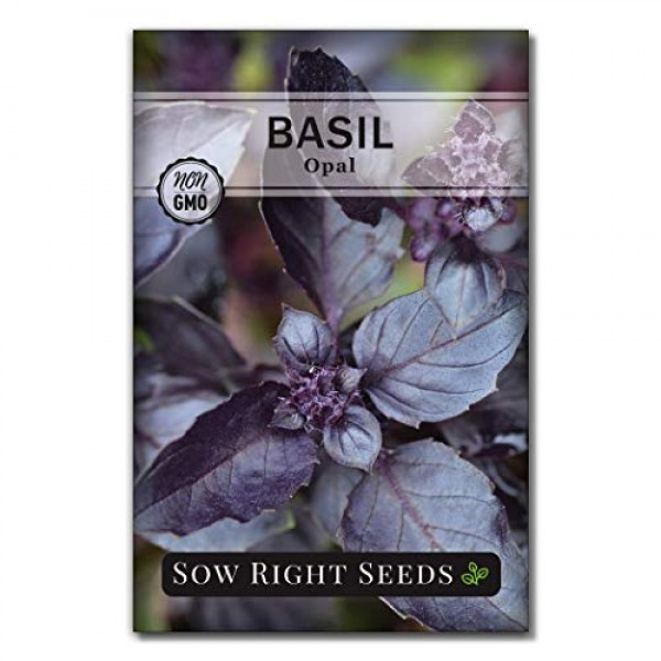 Sow Right Seeds - 15 Herb Garden Seed Collection - 15 Essential He...