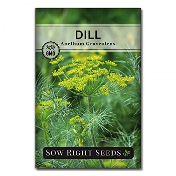 Sow Right Seeds - 15 Herb Garden Seed Collection - 15 Essential He...