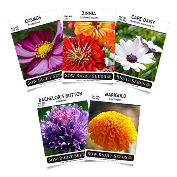 Sow Right Seeds - Flower Seed Garden Collection to Plant, 5 Packet...