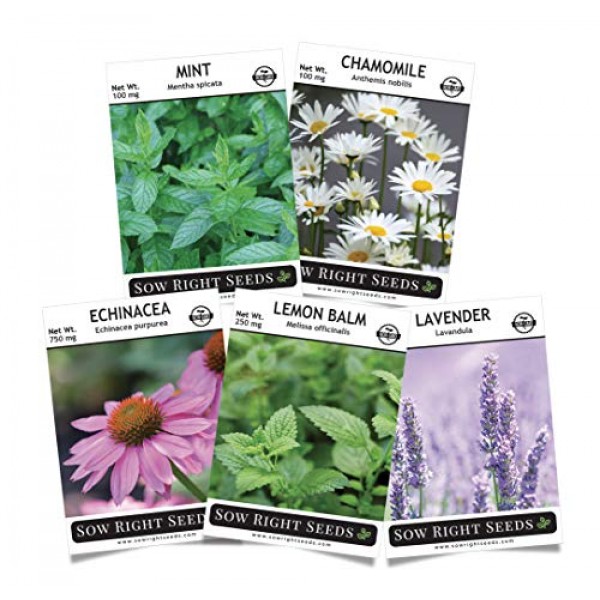 Sow Right Seeds - Herbal Tea Collection - Lemon Balm, Chamomile, M...
