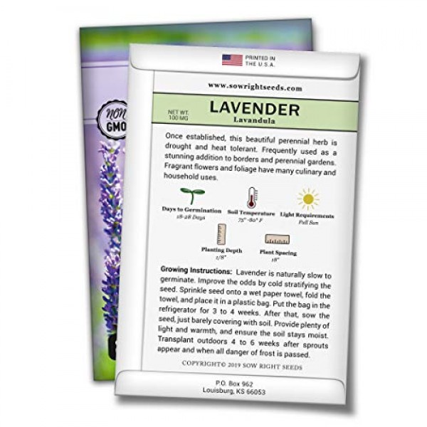 Sow Right Seeds - Lavender Seed - Non-GMO Heirloom Seeds with Full...