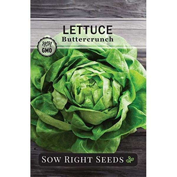 Sow Right Seeds - Lettuce Seed Collection for Planting - Buttercru...
