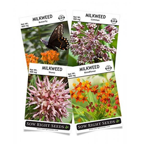 Sow Right Seeds - Milkweed Seed Collection; Varieties Included: Bu...