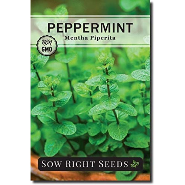 Sow Right Seeds - Mint Garden Seed Collection - Peppermint, Common...