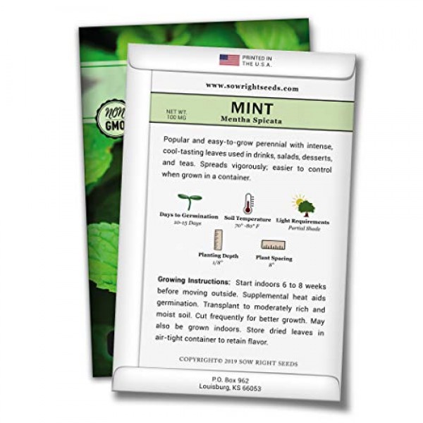 Sow Right Seeds - Mint Seed for Planting - Non-GMO Heirloom Seeds ...