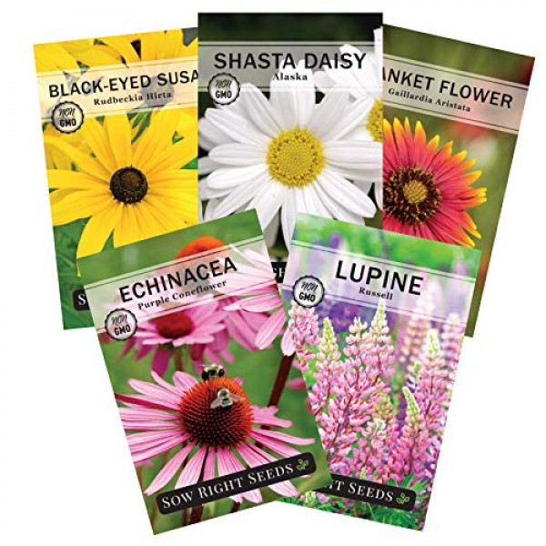 Sow Right Seeds - Perennial Flower Garden Collection for Planting ...