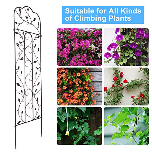 Rustproof Iron Garden Trellis for Potted Plants Lattice Climbing R...