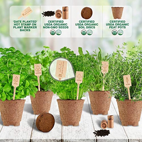 Indoor Herb Garden Starter Kit - Certified 100% USDA Organic Non G...