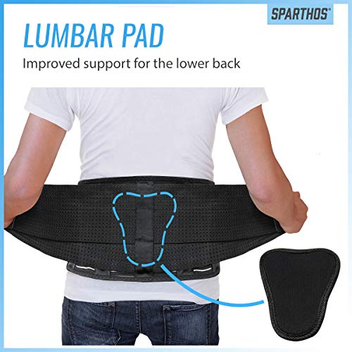 Back Support Belt by Sparthos - Relief for Back Pain, Herniated Di...